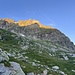 letztes Sonnenlicht und Kuhgebimmel