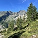 und Hänge mit Wiesen, Büschen und wenigen Nadelbäumen