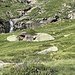 liegen da nicht ein paar Tierchen im Weg