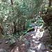 Sentier depuis Pioda. 