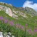 Couches Rouges an der Dent de Ruth
