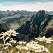 kurz vor dem Lachenkopf
