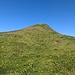 breiter Rücken vom kleinen Seekopf im Abstieg zum Höhenweg