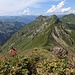 Bisschen Gemüse in dem Gras zum Laufbacher Eck