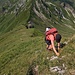 der direkte Grat zum laufbacher Eck von oben
