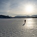 Am See