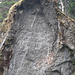 Détail de l'inscription. 