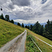 Sur la route des Mayens du Verrey. 