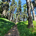 Sur le sentier menant à Gouilly d'En-Bas.