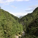 Ausblick in die Griesbachklamm