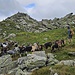 Geißenpeter