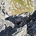 ohne große Schwierigkeiten? 