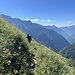 jetzt gibt es deutlich mehr Vegetation