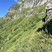 Rückblick auf die letzte Passage, ...
