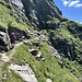 aber auch mal leicht bergauf