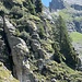 Suchbild mit kleinem Steinbock