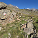 Am Beginn des wunderschönen Bergwegs vom Galenberg hinunter nach Geisstrift, darüber winken von links nochmals die Dirruhörner, das Hohbärghorn und der Dom zum Abschied