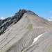 <b>Pizzo Marumo (2791 m).<br />Sul versante sud, a cinquecento metri di distanza in linea d’aria, si erge l’imponente Pizzo Marumo (2791 m). Sopra la sua cima volteggiano tre Grifoni (Gyps fulvus), che lentamente mi sorvolano. Provo a fotografarli con il cellulare, ma l’impresa è fallimentare.<br /><img src="http://f.hikr.org/files/3966918k.jpg" /><br />Grifone (Gyps fulvus).</b>