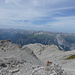 Blick nach Westen zu den Lechtaler Alpen
