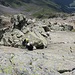 Die Platte mit dem Riss von oben, ca. 4 - 5 Meter Distanz