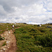 Tonfjellet