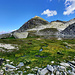 Haut vallon de Märetschi et le Märetschibach.