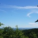 Ausblick von der Riedelhöhe