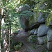 schöner Pfad Richtung Hohenstein