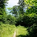 Abstieg vom Peilstein nach Marienthal