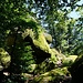 auf dem Hohenstein
