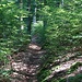 schöner Pfad Richtung Hohenstein