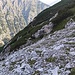 Hier steigt man rechts querend ab zur Latschengasse, die links unter der Bildmitte beginnt.