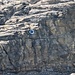 Auf dem Weg nach unten, gegenüber der Klettersteig zur Adlerflüe