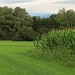 Oltre il verde le montagne piemontesi.
