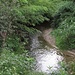 Il torrente Roggia Nuova presso Capolago.