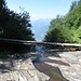 Raggiunto il Rio Foicia, abbiamo fatto una breve deviazione per andare a vedere il ponticello che attraversa il torrente, che permette di proseguire per raggiungere l’Alpe di Corte Vecchio.