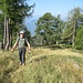 Terminato il bosco di larici si arriva ad una radura.