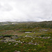Sognefjell