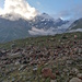 Das Lauterbrunner Breithorn ist von allen Seiten eine Wucht.