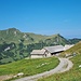 Alp Gritsch