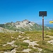 Auf dem Hochjoch