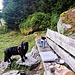 Tagwache 05:45 <br />Nach dem Zmorgen gings los...