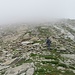 verso il nebbiume