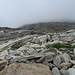 quasi alla sella
