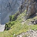 Der Weg von der Steinlochscharte nach Osten hinunter ist kurzzeitig richtig heikel.