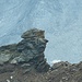 Wächter
