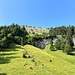 Luftlinie nur 800 m bis zum Kamm, aber genauso viele Hm, die Südflanke des Kamms