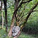 Steinfänger statt Traumfänger