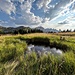 im Abstieg ein seltsames Gewässer (Geotop); eher kein Trinkwasser