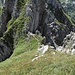 Blick auf die Scharte, wo die Fixseile beginnen